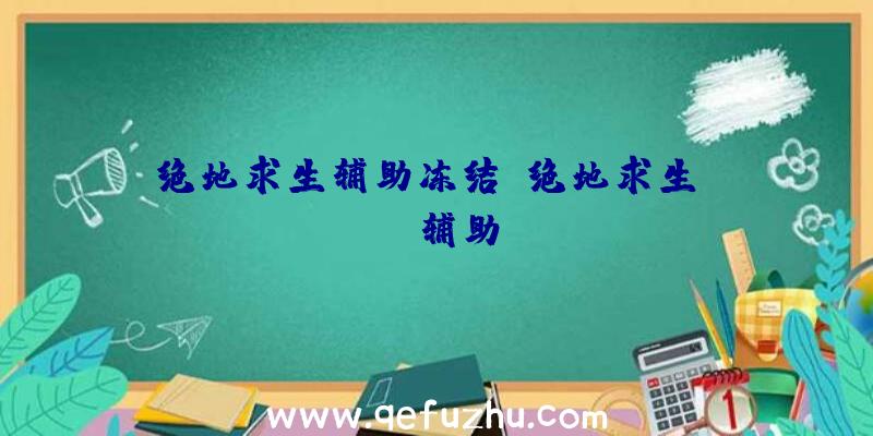 绝地求生辅助冻结、绝地求生boss辅助