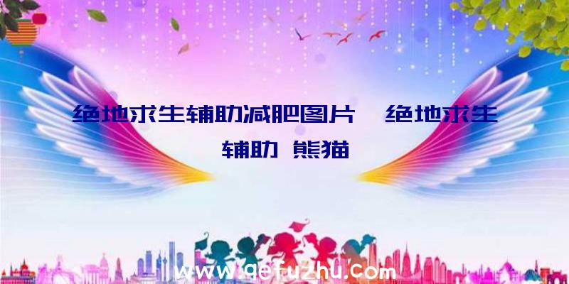 绝地求生辅助减肥图片、绝地求生辅助