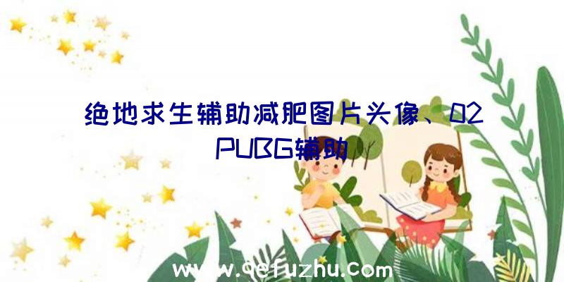 绝地求生辅助减肥图片头像、02PUBG辅助