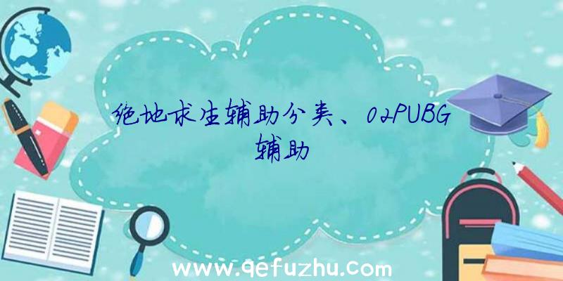 绝地求生辅助分类、02PUBG辅助