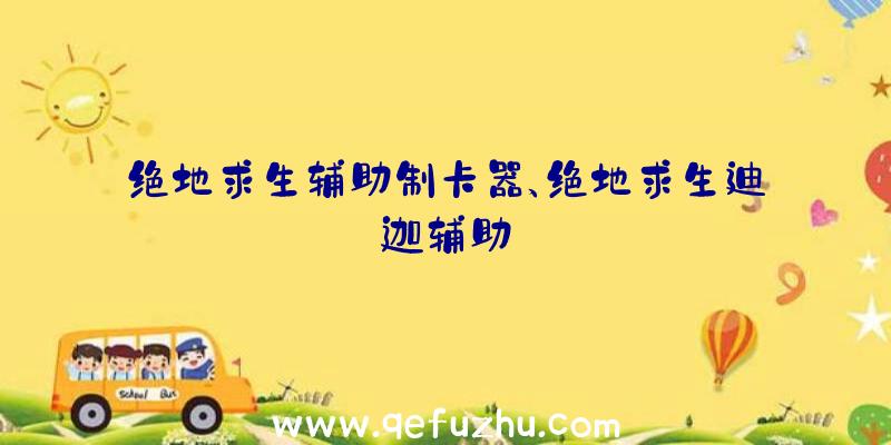 绝地求生辅助制卡器、绝地求生迪迦辅助