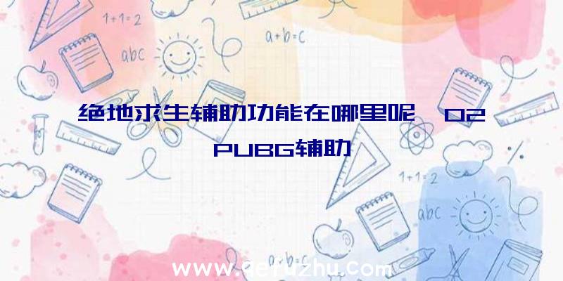 绝地求生辅助功能在哪里呢、02PUBG辅助