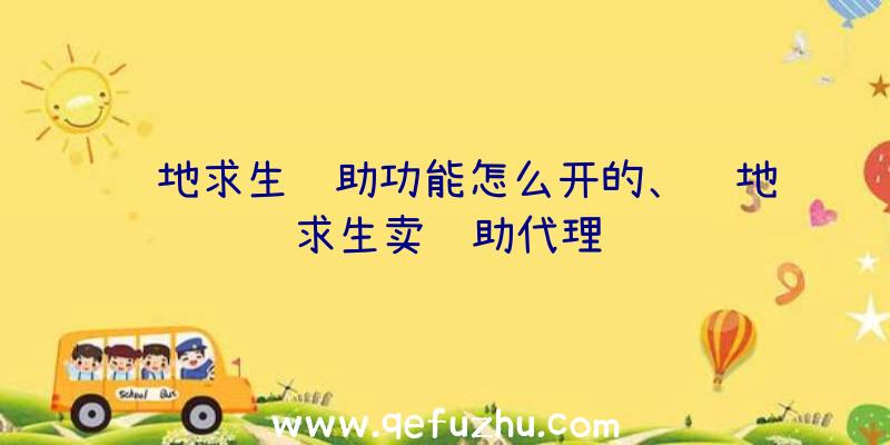 绝地求生辅助功能怎么开的、绝地求生卖辅助代理