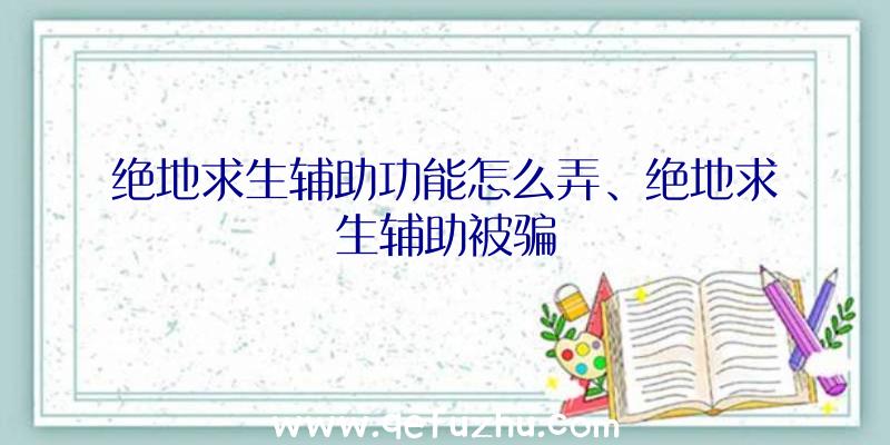 绝地求生辅助功能怎么弄、绝地求生辅助被骗