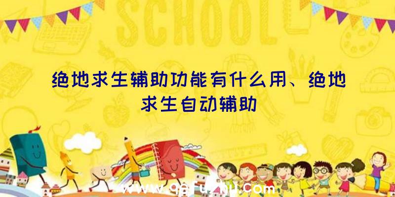 绝地求生辅助功能有什么用、绝地求生自动辅助