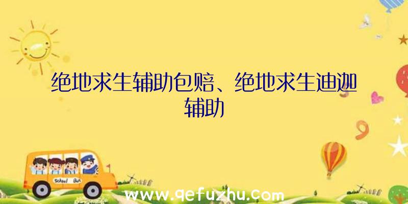 绝地求生辅助包赔、绝地求生迪迦辅助