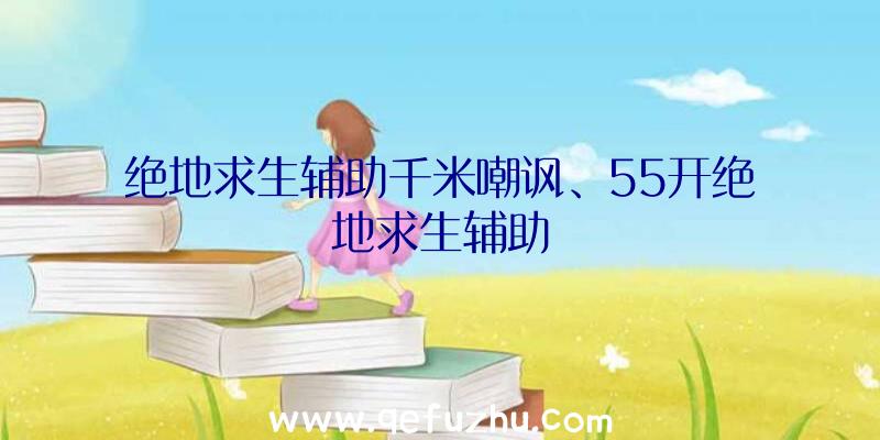 绝地求生辅助千米嘲讽、55开绝地求生辅助