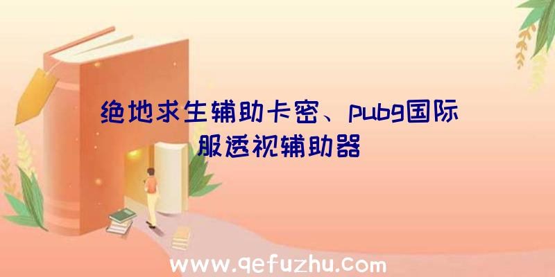 绝地求生辅助卡密、pubg国际服透视辅助器