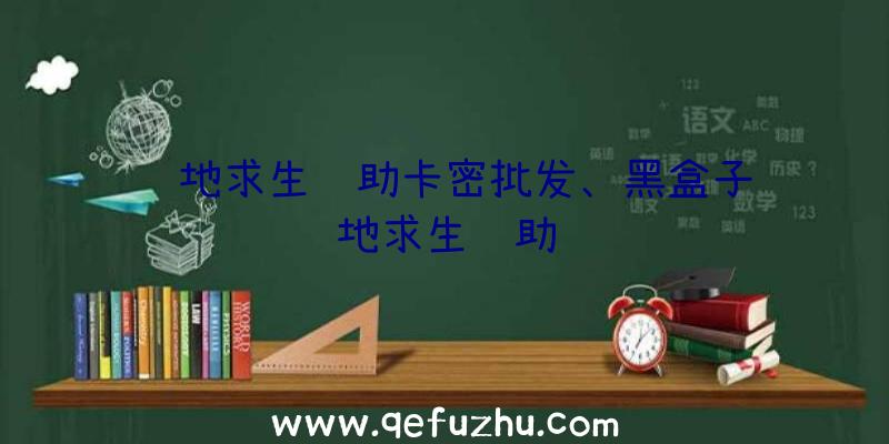 绝地求生辅助卡密批发、黑盒子绝地求生辅助