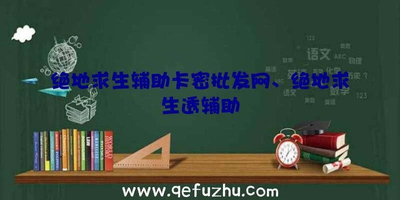 绝地求生辅助卡密批发网、绝地求生透辅助