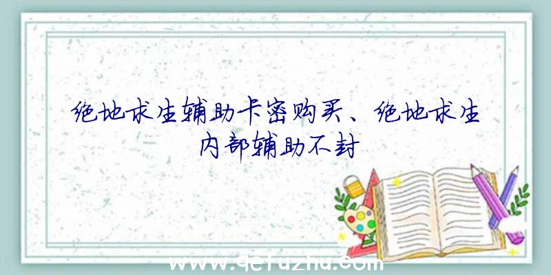 绝地求生辅助卡密购买、绝地求生内部辅助不封