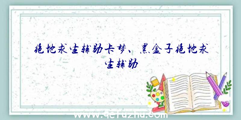 绝地求生辅助卡梦、黑盒子绝地求生辅助