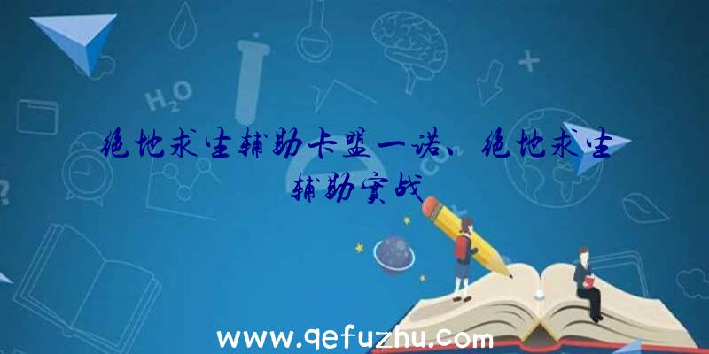 绝地求生辅助卡盟一诺、绝地求生辅助实战