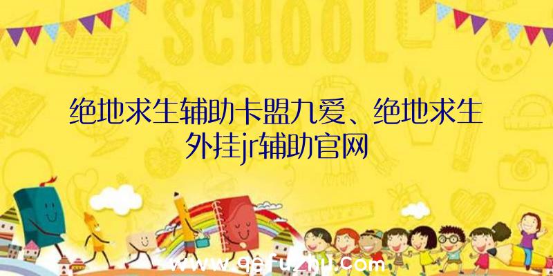 绝地求生辅助卡盟九爱、绝地求生外挂jr辅助官网