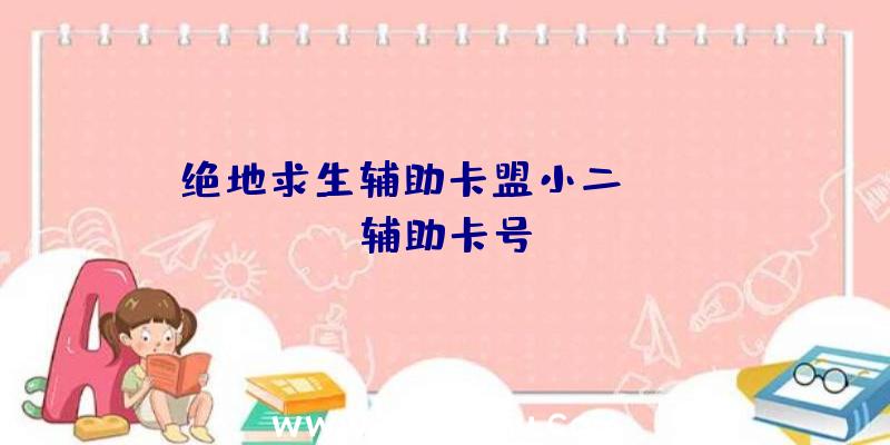 绝地求生辅助卡盟小二、pubg辅助卡号