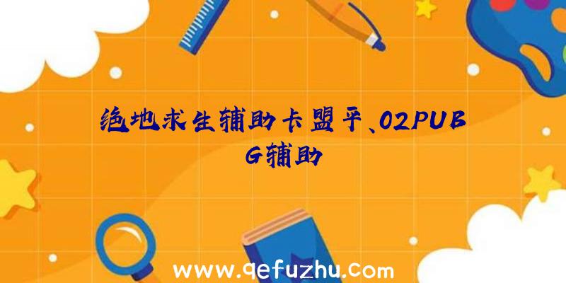 绝地求生辅助卡盟平、02PUBG辅助