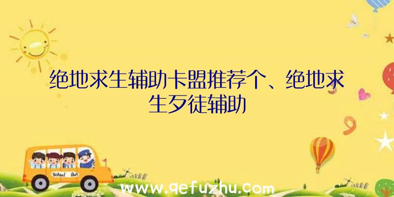 绝地求生辅助卡盟推荐个、绝地求生歹徒辅助