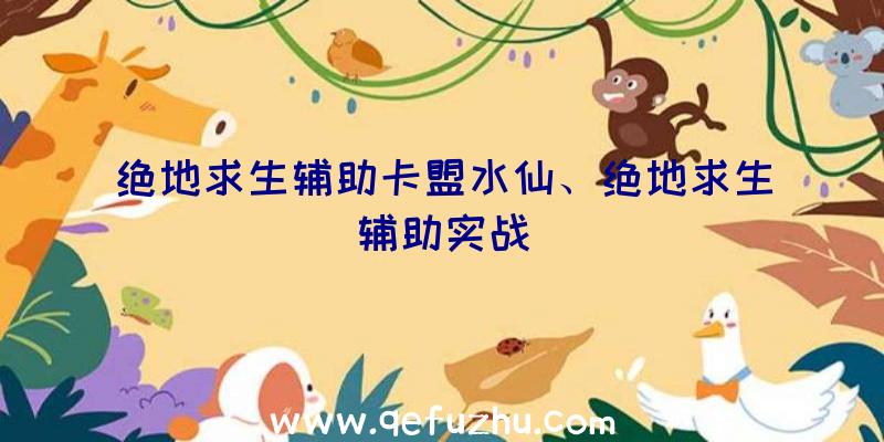 绝地求生辅助卡盟水仙、绝地求生辅助实战