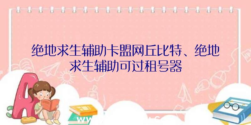 绝地求生辅助卡盟网丘比特、绝地求生辅助可过租号器