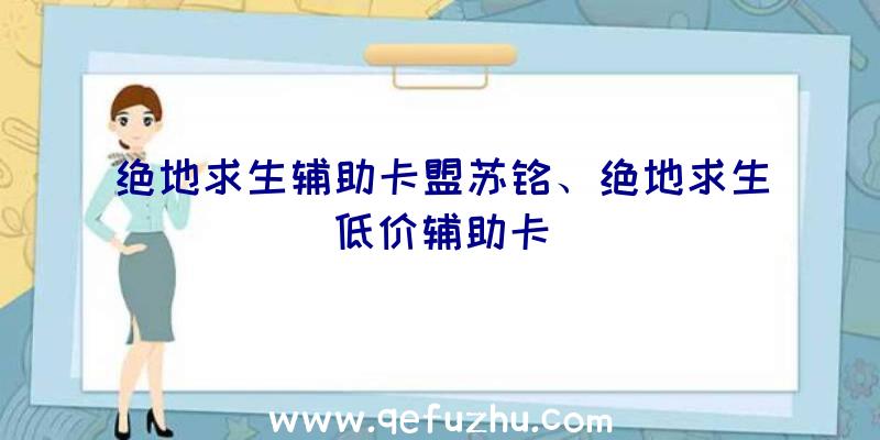 绝地求生辅助卡盟苏铭、绝地求生低价辅助卡