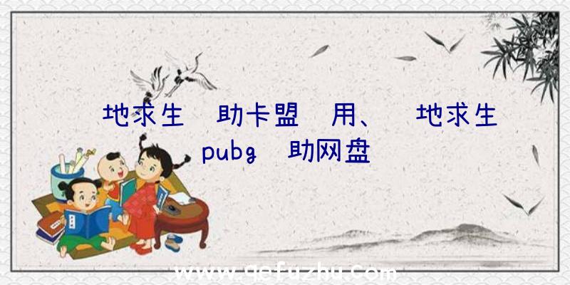 绝地求生辅助卡盟试用、绝地求生pubg辅助网盘