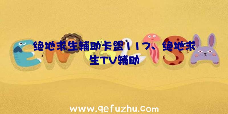 绝地求生辅助卡盟117、绝地求生TV辅助