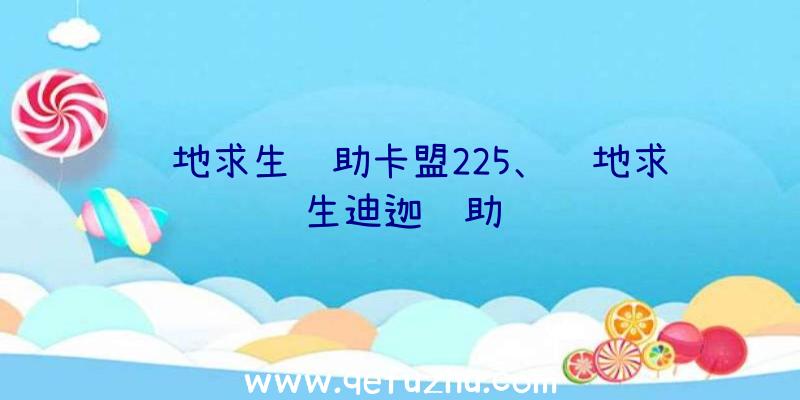 绝地求生辅助卡盟225、绝地求生迪迦辅助