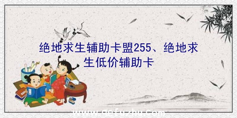 绝地求生辅助卡盟255、绝地求生低价辅助卡