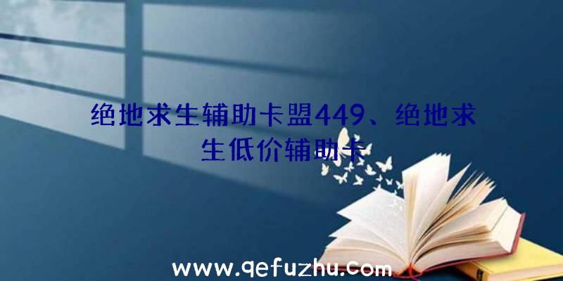 绝地求生辅助卡盟449、绝地求生低价辅助卡