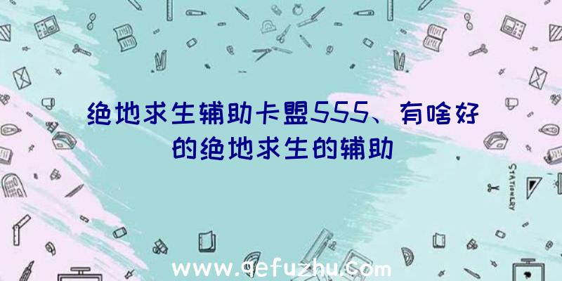 绝地求生辅助卡盟555、有啥好的绝地求生的辅助