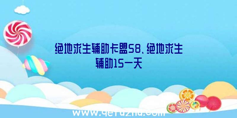 绝地求生辅助卡盟58、绝地求生辅助15一天