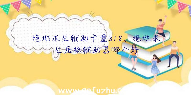 绝地求生辅助卡盟818、绝地求生压枪辅助器哪个好