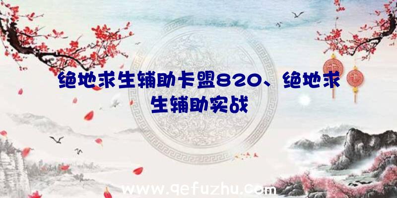 绝地求生辅助卡盟820、绝地求生辅助实战