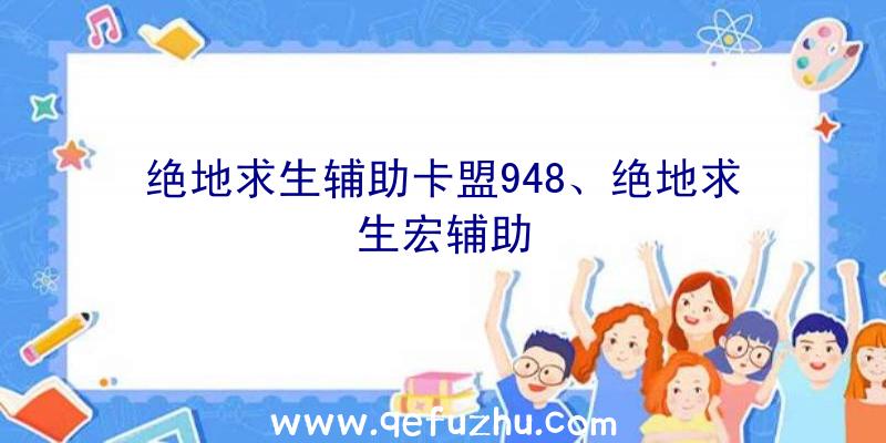 绝地求生辅助卡盟948、绝地求生宏辅助