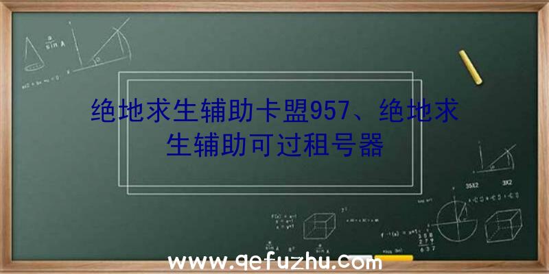 绝地求生辅助卡盟957、绝地求生辅助可过租号器