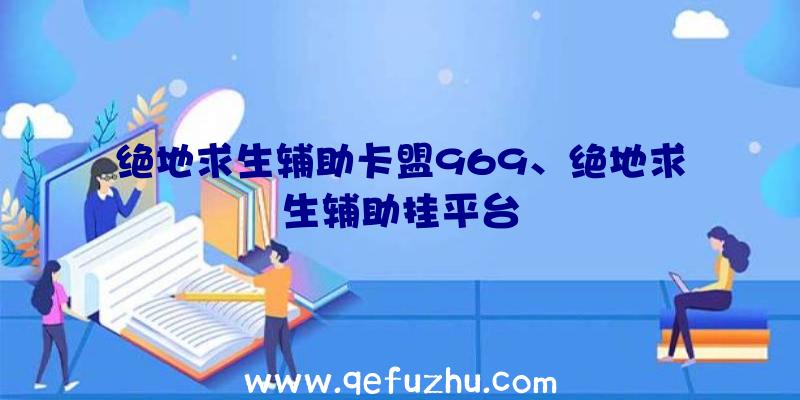 绝地求生辅助卡盟969、绝地求生辅助挂平台