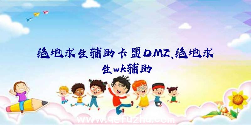 绝地求生辅助卡盟DMZ、绝地求生wk辅助