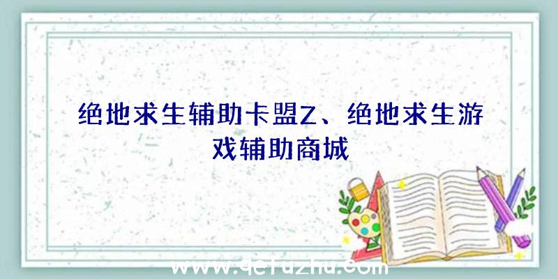 绝地求生辅助卡盟Z、绝地求生游戏辅助商城