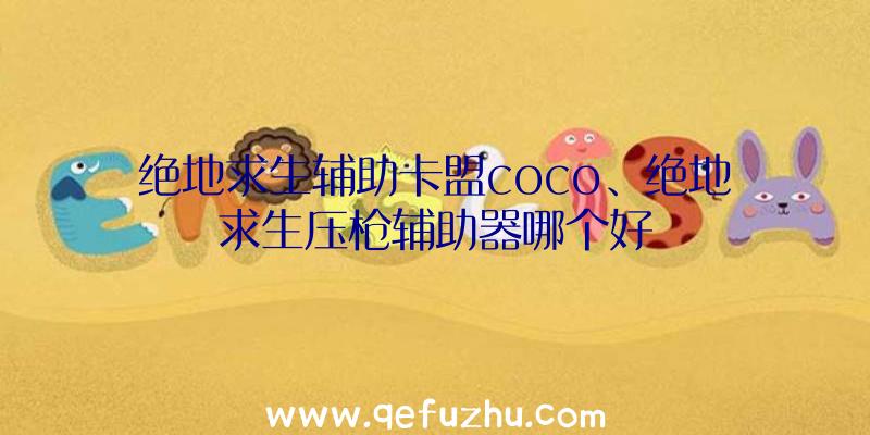 绝地求生辅助卡盟coco、绝地求生压枪辅助器哪个好