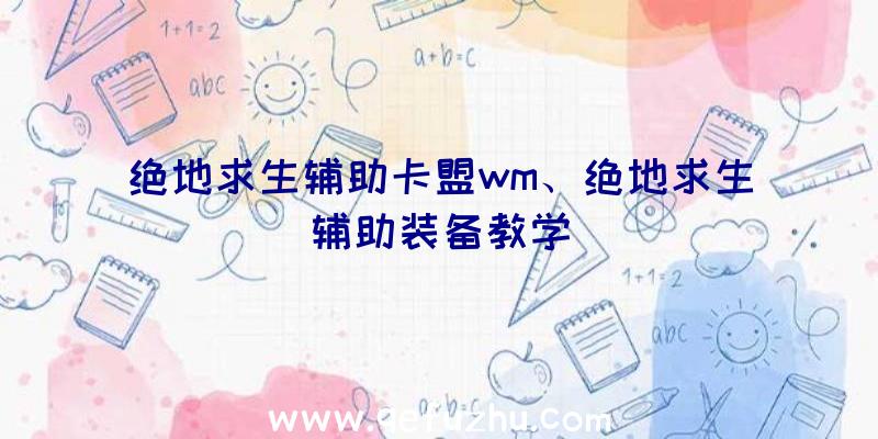 绝地求生辅助卡盟wm、绝地求生辅助装备教学