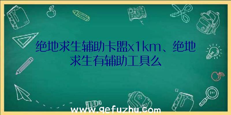 绝地求生辅助卡盟x1km、绝地求生有辅助工具么