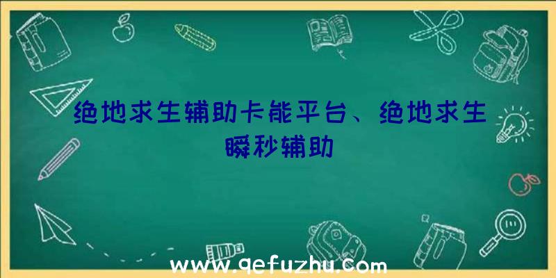 绝地求生辅助卡能平台、绝地求生瞬秒辅助