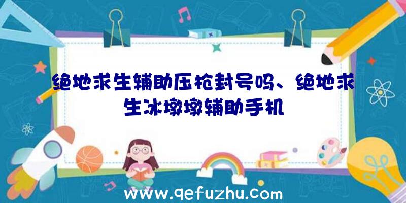 绝地求生辅助压枪封号吗、绝地求生冰墩墩辅助手机