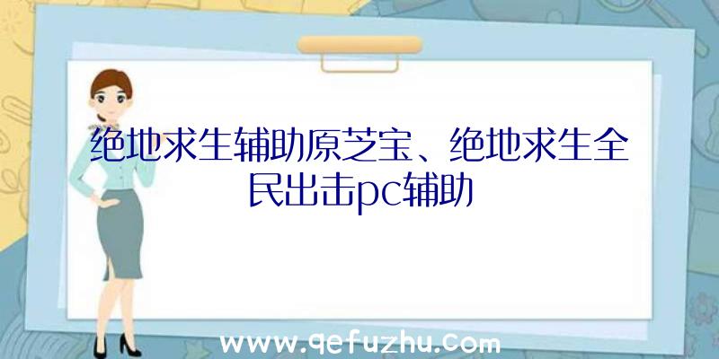 绝地求生辅助原芝宝、绝地求生全民出击pc辅助