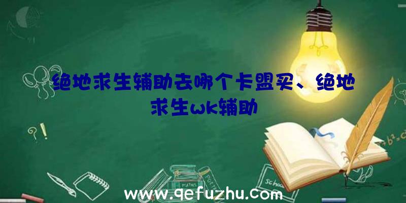 绝地求生辅助去哪个卡盟买、绝地求生wk辅助