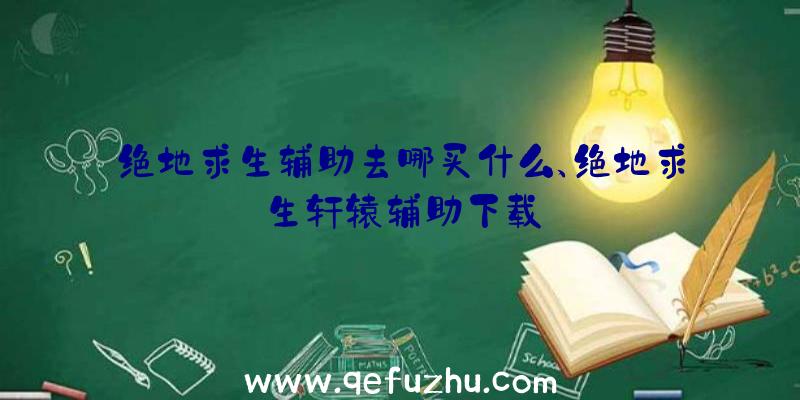 绝地求生辅助去哪买什么、绝地求生轩辕辅助下载