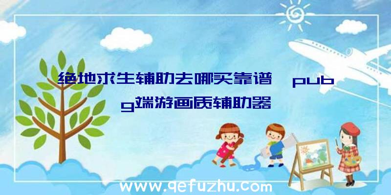 绝地求生辅助去哪买靠谱、pubg端游画质辅助器