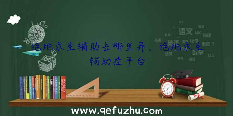 绝地求生辅助去哪里弄、绝地求生辅助挂平台