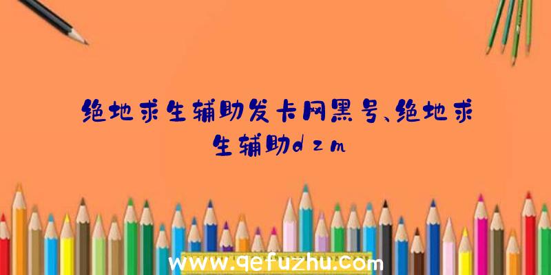 绝地求生辅助发卡网黑号、绝地求生辅助dzm