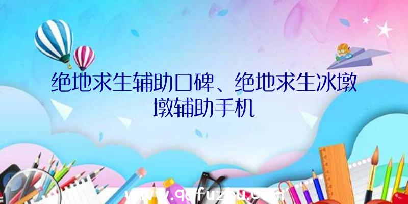 绝地求生辅助口碑、绝地求生冰墩墩辅助手机